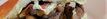 Xis Picanha