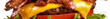 4) X-BACON