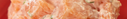 14-Temaki Big