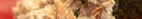 15-Temaki Big II