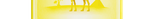 CAMEL AMARELO