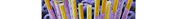 Pocky Blueberry 41g
