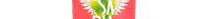 Ousadia Melancia 350ml