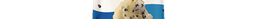 Sorvete Cookies'n Cream 70g