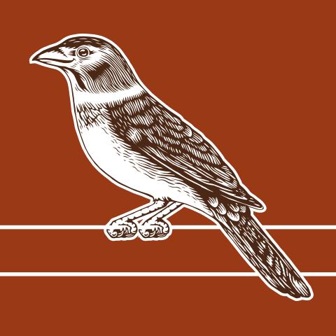 COLARINHO